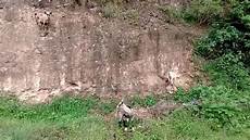 Climbing-Walls