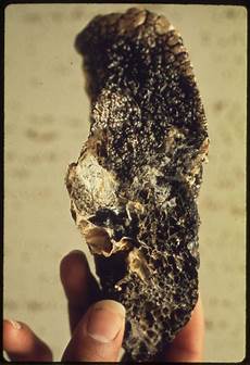 Coal
