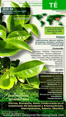 Coca Tea