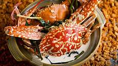Coconut Meat