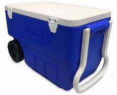 Cooler Bags