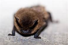 Copyfn.Bat