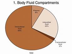 Correction Fluid