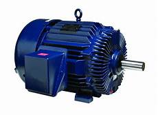Crusher Duty Motors
