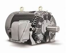 Crusher Duty Motors