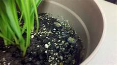 Crystal Soil