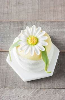 Cupcake Pans