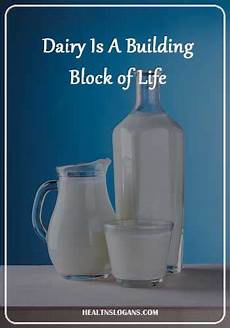 DairyProducts