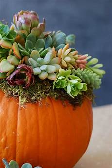 Decorative Flowers