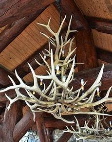 Deer Antler Chandelier