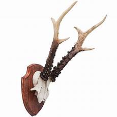 Deer Antler Chandelier