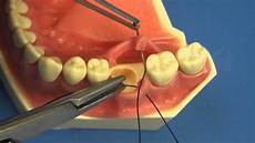 Dental Kit