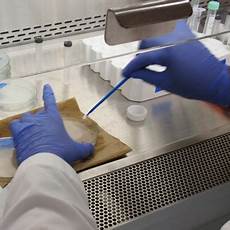 Disinfectant and Preservatives