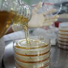 Disinfectant and Preservatives