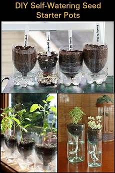 Diy Greenhouse