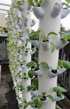 Diy Greenhouse