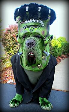 Dog Costumes