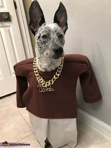 Dog Costumes