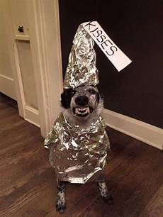 Dog Costumes