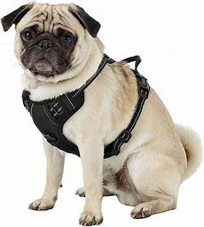 Dog Leashes