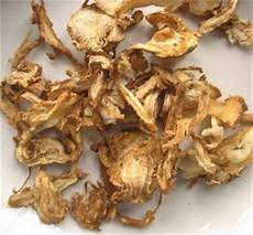 Dong Quai Root