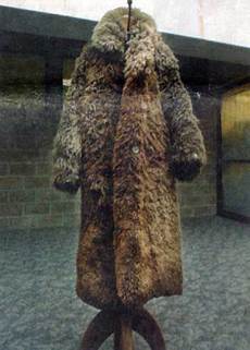 Down Coats