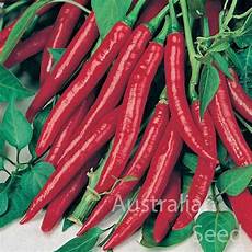 Dried Capsicum