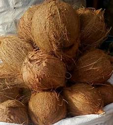 Dried Coconut