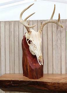 Drift Wood