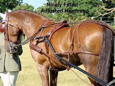 Driving Harness