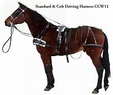 Driving Harness