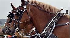 Driving Harness
