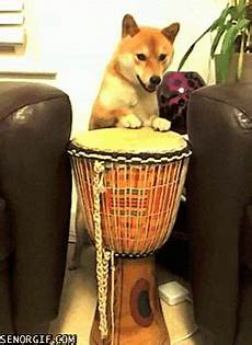 Drums Djembe