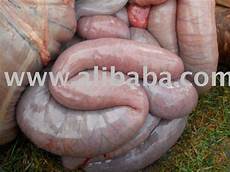 Edible Offals