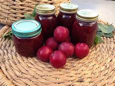 Eggplant Marmalade