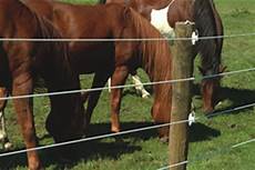 Electric Horse Fence