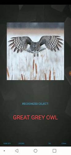 Excess Inventory 1
