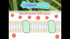 Facilitated Diffusion