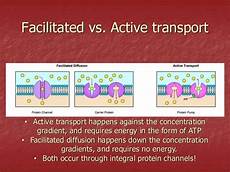 Facilitated Diffusion