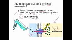 Facilitated Diffusion