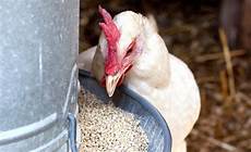 Feed Additive Products