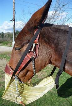 Feed Bag