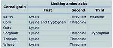 Feed Grade Amino Acids