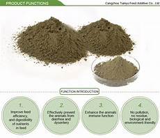 Feed Grade Enzymes