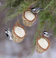 Feeding Supplies