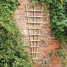 Fencing Trellis Gates