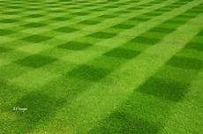 Field Mower