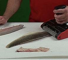 Fillet Knife