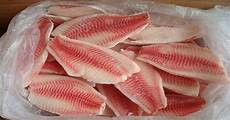 Fish Antibiotics