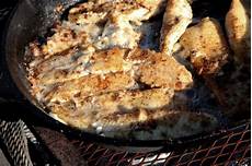 Fish Fryer